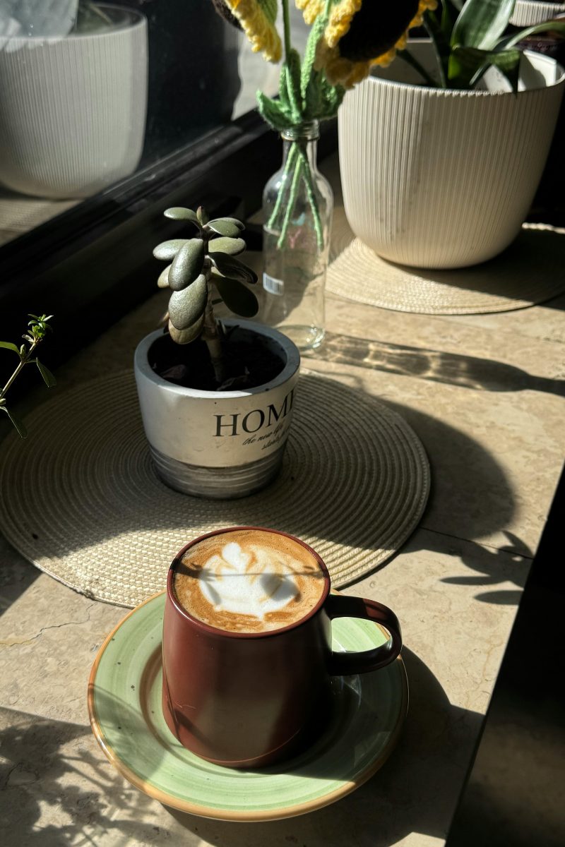 A latte in a dark mug on a saucer by a sunlit windowsill, small potted plants and a vase nearby.