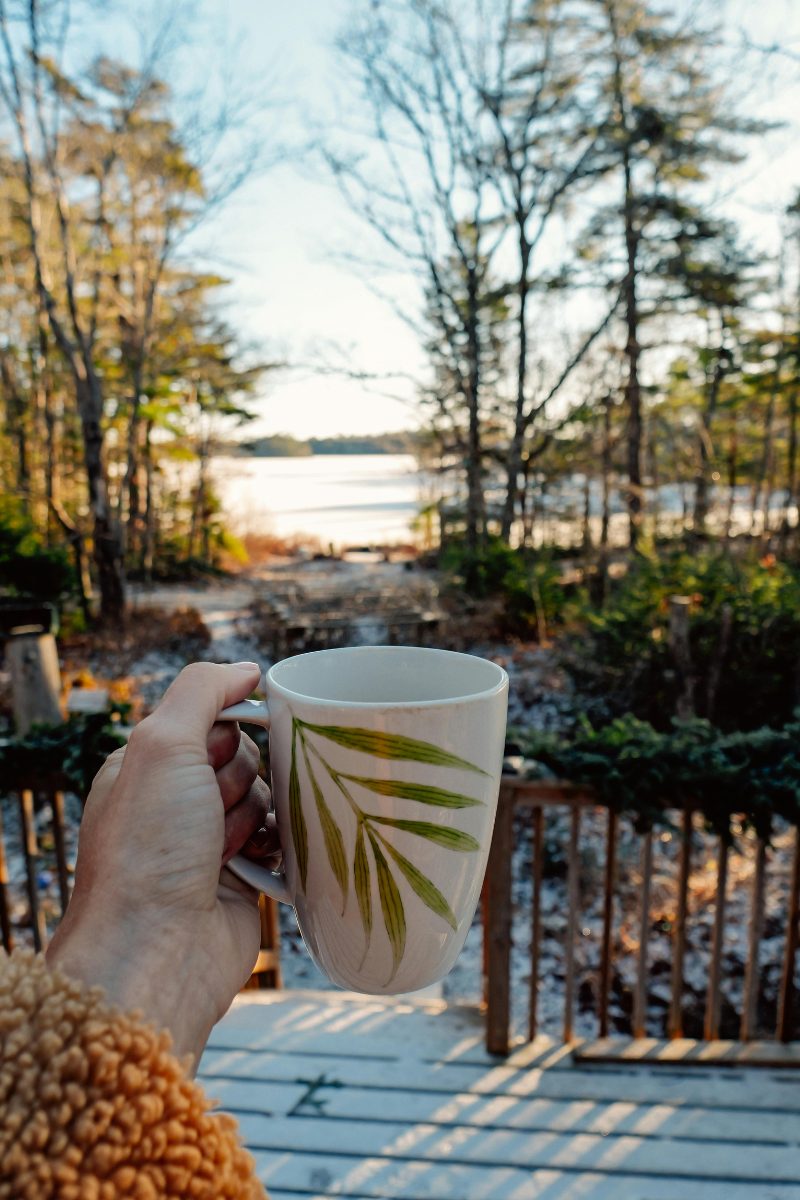 A hand holding a leaf-painted mug, looking out over a still lake fringed with trees.